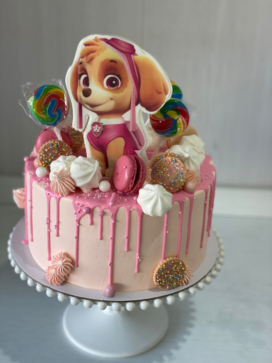 Paw patrol SKYE lollipops 9