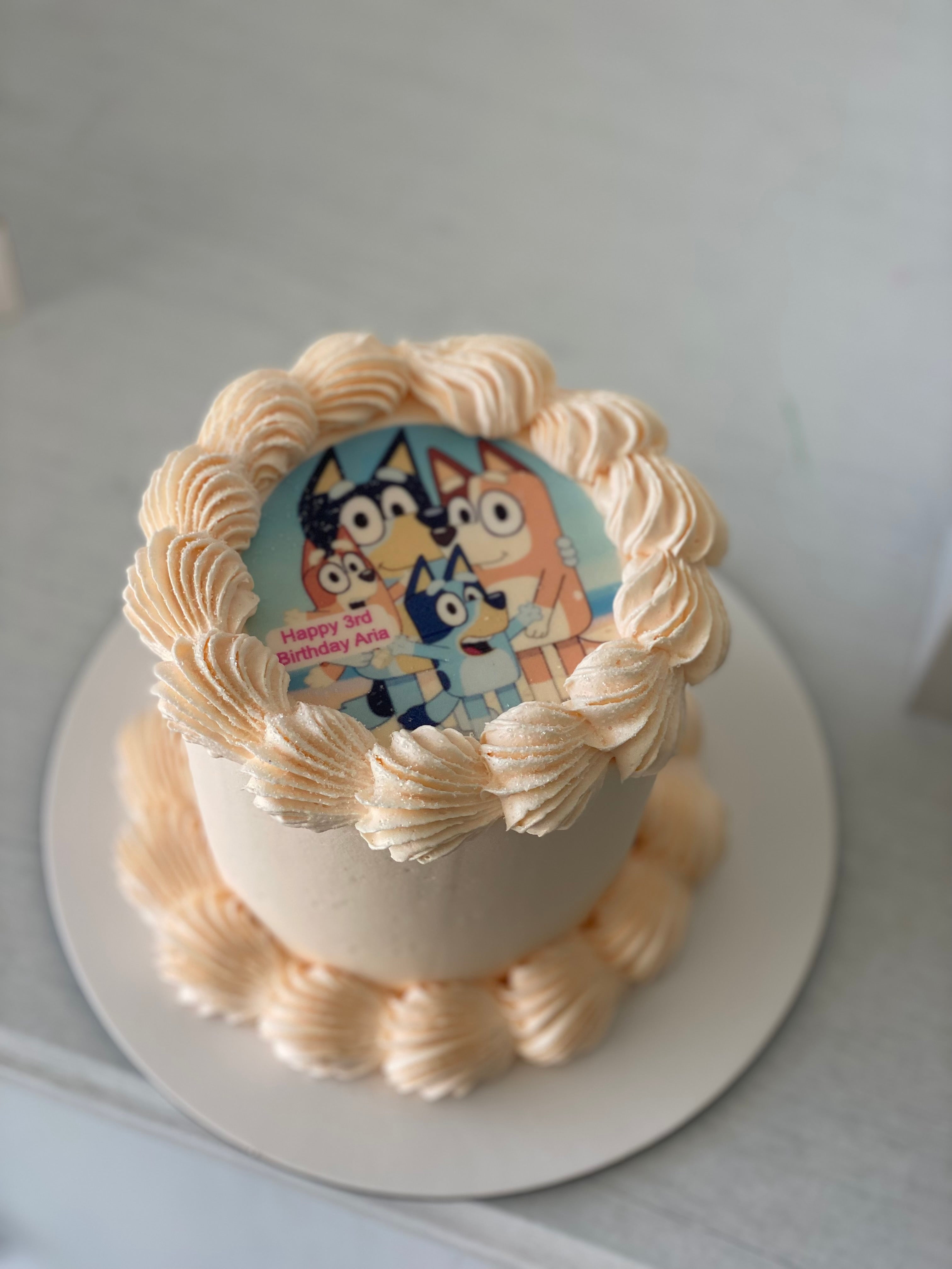 4” Bluey & family CAKE +  cupcakes (12 mini )