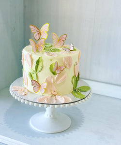 Bindi butterfly - Cake