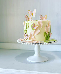 Bindi butterfly - Cake